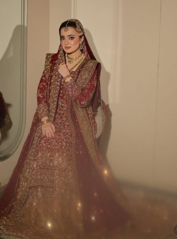 Farshi Lehenga - Image 2