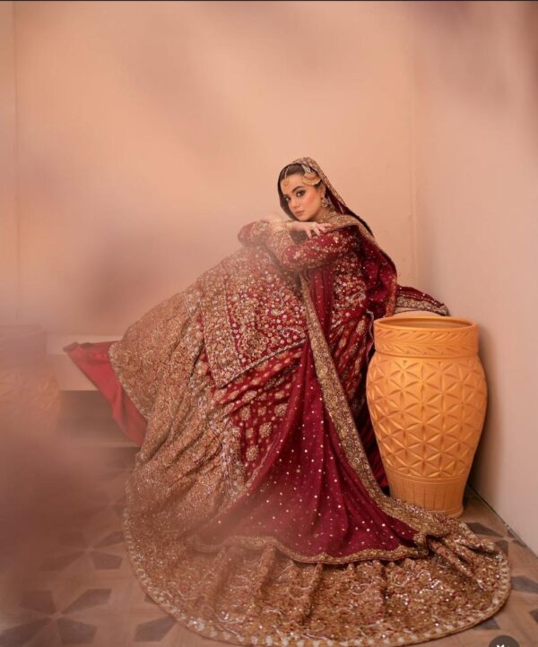 Farshi Lehenga - Image 4