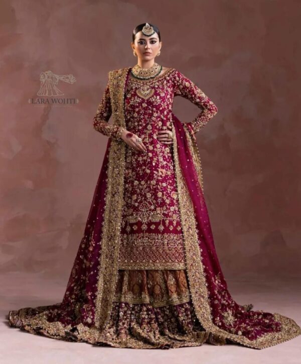 Farshi Lengha Colour Mahron - Image 4